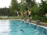 Franzi, Thomas, Fischkopf & Flo springen in Pool